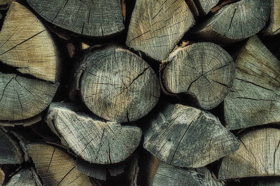 Haut-Lac : il sera compliqué de se chauffer au bois cet hiver