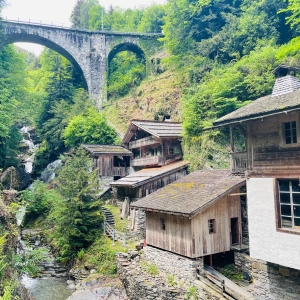 Les Vieux Moulins de laTine à la fête ce week-end