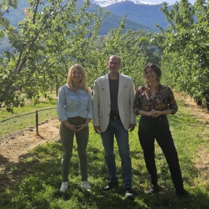 Valais: le canton dévoile son premier bilan carbone de la production arboricole sur son territoire