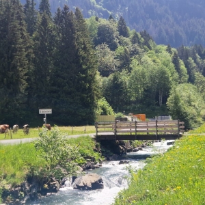 Champéry dénombre des véhicules pour adapter notamment les travaux de la déchèterie