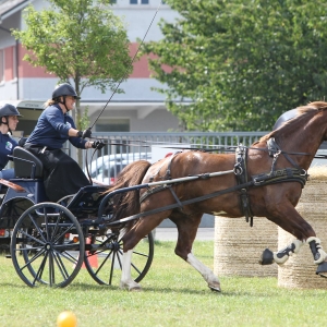 "C’est vrai que cette année c’est un peu extrême" - Le concours hippique d'Aigle s'adapte à la chaleur