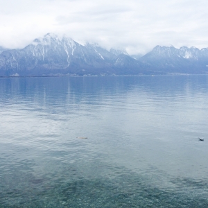 Le Léman tourne la page du phosphore, mais de nouveaux défis émergent