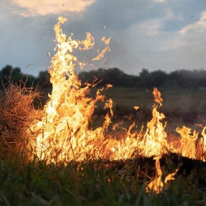 Le danger d’incendie est au maximum dans certaines régions du Valais