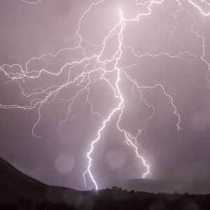 Orage à Noville : un blessé après la chute d'un arbre