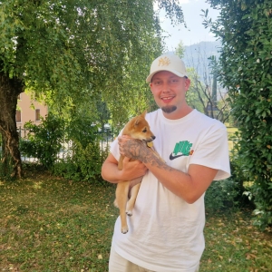 Le vol de chien qui se termine bien