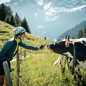 Alpes vaudoises se charge désormais de la promotion de la destination