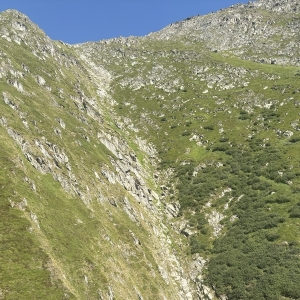 Un accident de parapente fait un mort à Naters