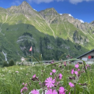 La bourgeoisie de Monthey souhaite rapidement reconstruire le chalet d'alpage à Tovassière
