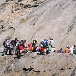 50 ans des traces d'Emosson : les premiers « dinos » foulaient le Valais il y a 240 millions d'années