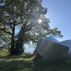 Bex Arts: quand la culture investit la nature